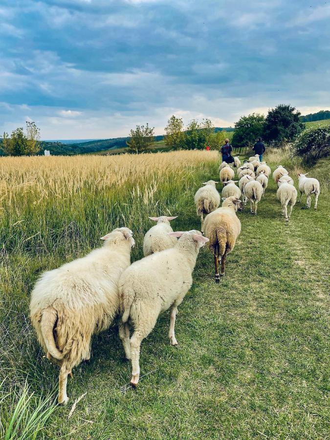 Farma Ovci Terasy Villa Němčičky Eksteriør bilde