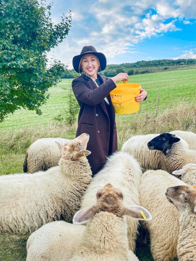 Farma Ovci Terasy Villa Němčičky Eksteriør bilde